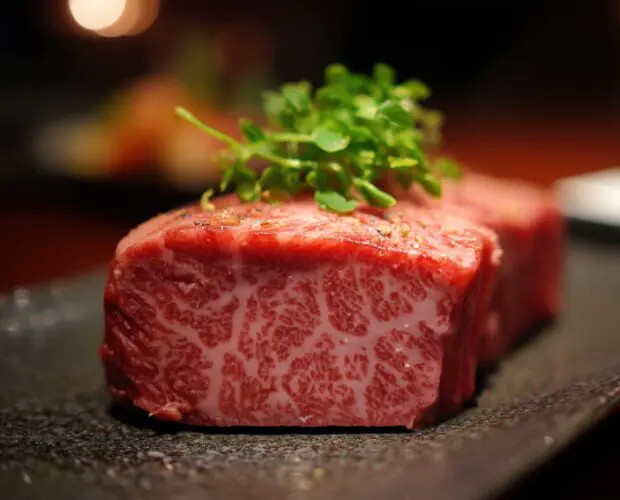 wagyu beef worth it